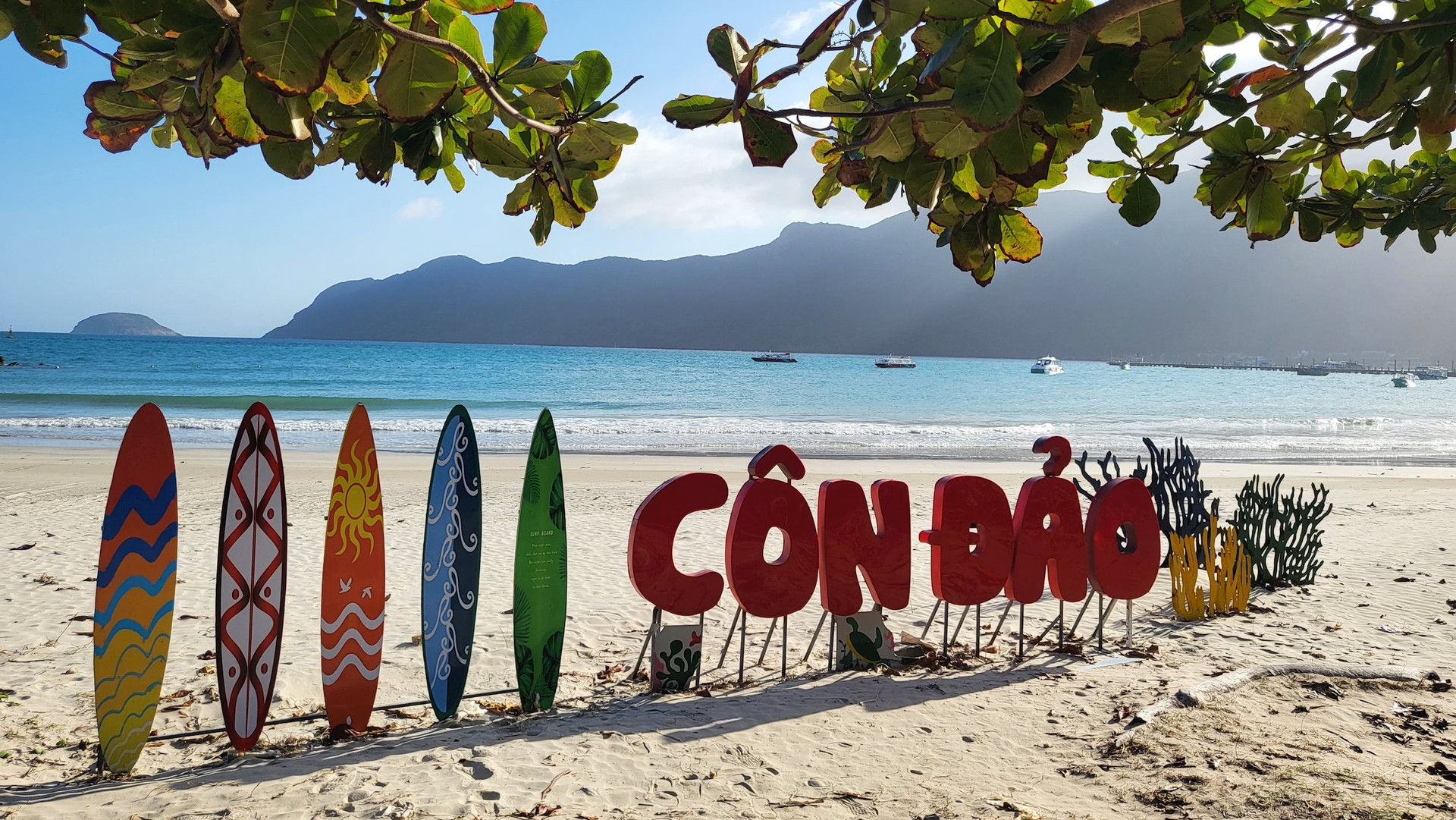 cd4-17229098458991428277565